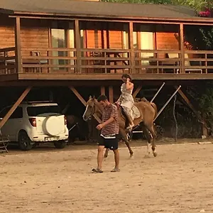 Equestrian And Club Motel *