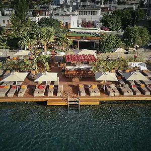 Otel Galen House 3*