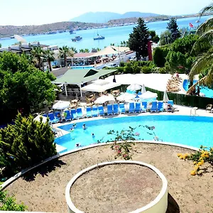 Royal Palm Area 4*
