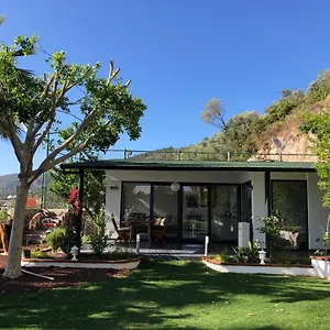 Dream House
