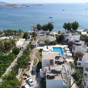 Otel Cove 2*