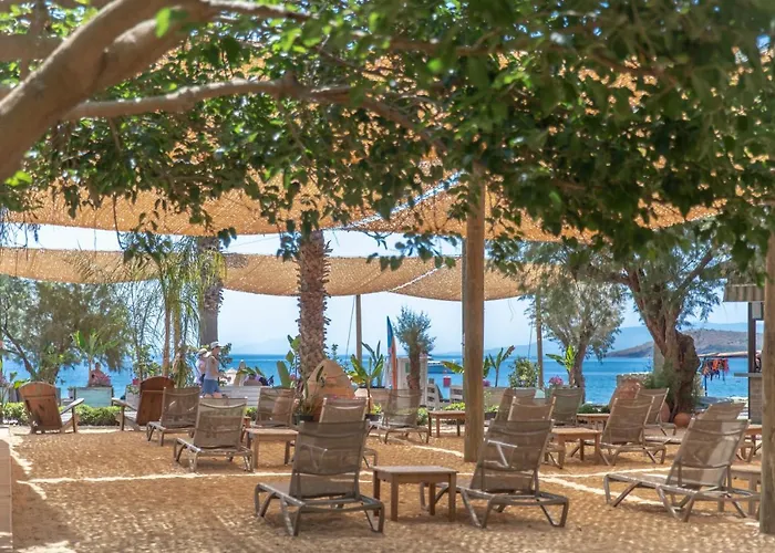 Kefi Beach & Suites Ortakent fotoğrafı