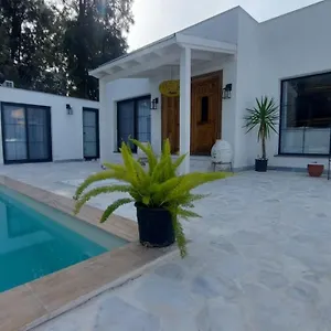 Boho *