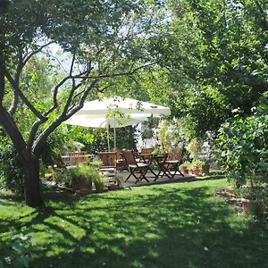 Güleç 2*